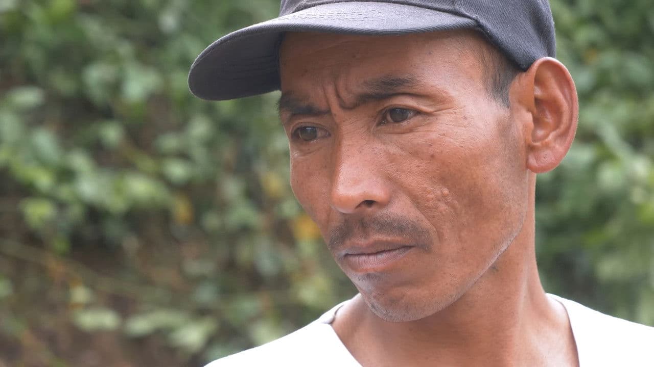 Backdrop – हराएका वर्षहरू