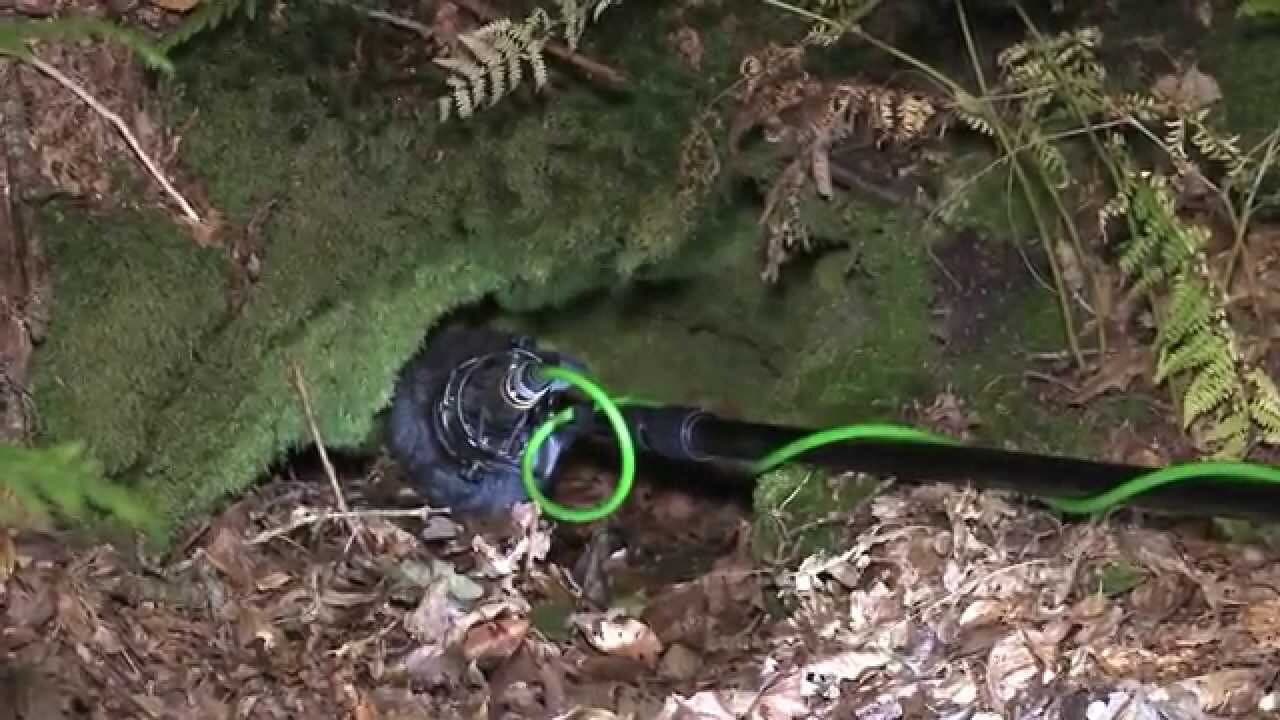 Backdrop – Korriganed