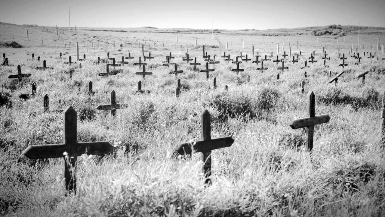 Backdrop – Adolf Island