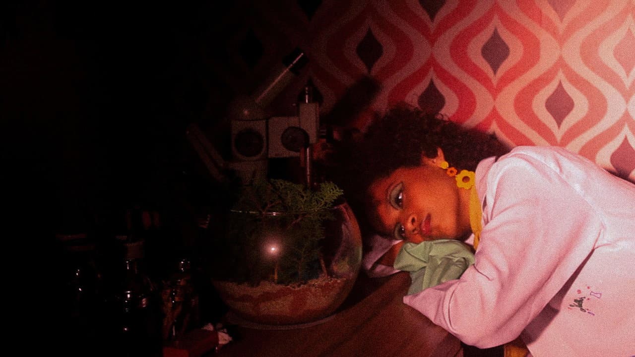 Backdrop – Terrarium