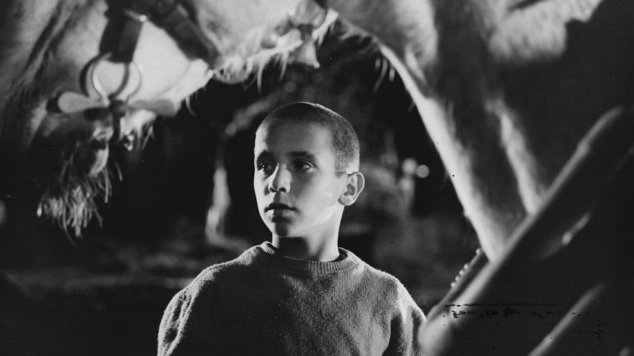 Backdrop – Crónica de un niño solo