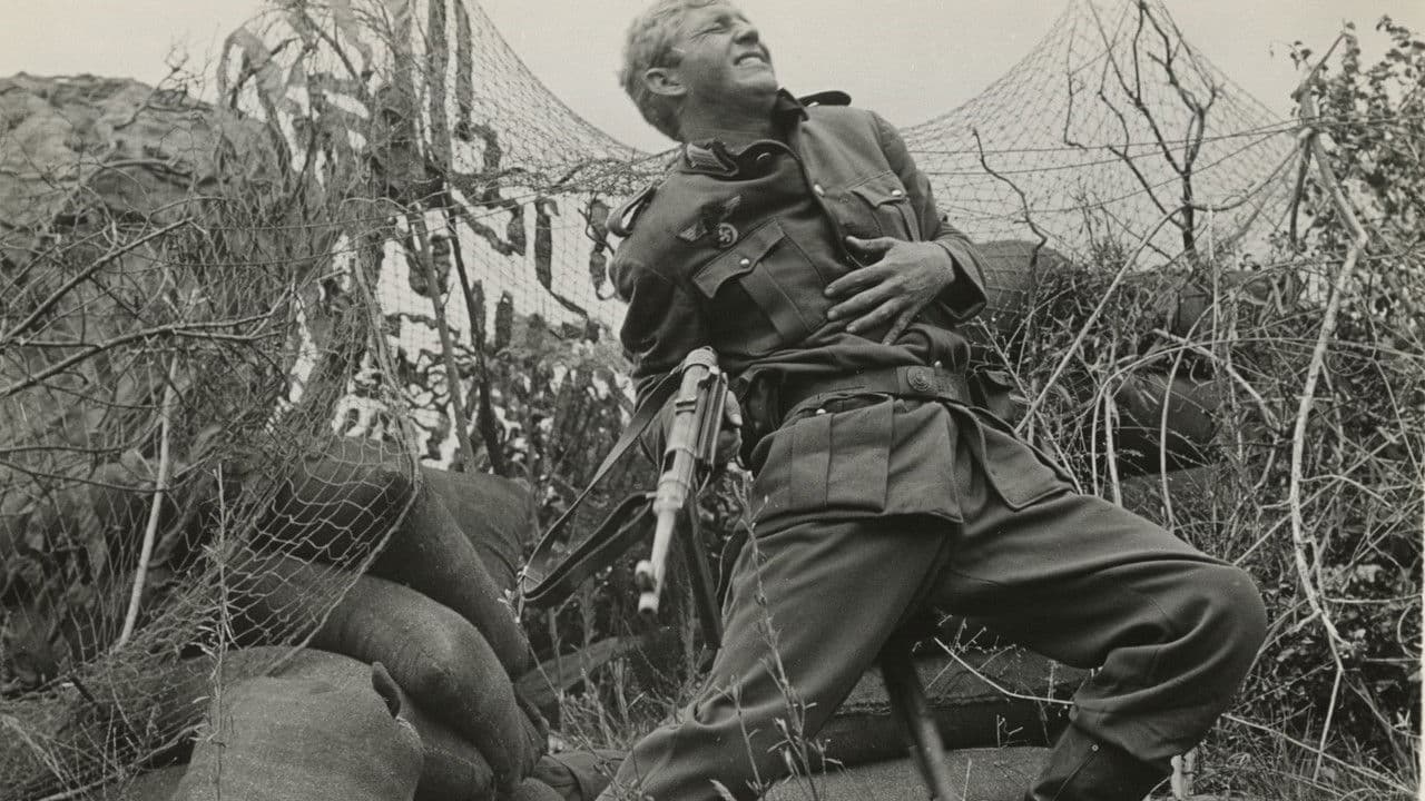 Backdrop – Paratroop Command