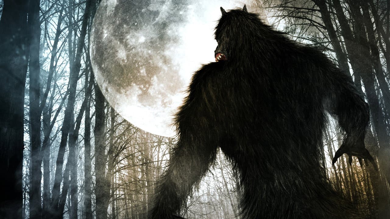 Backdrop – Werewolf Rising