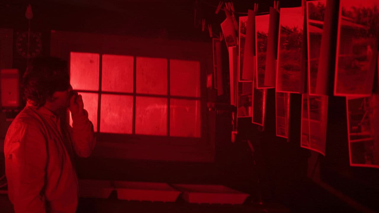 Backdrop – Tom Hornets