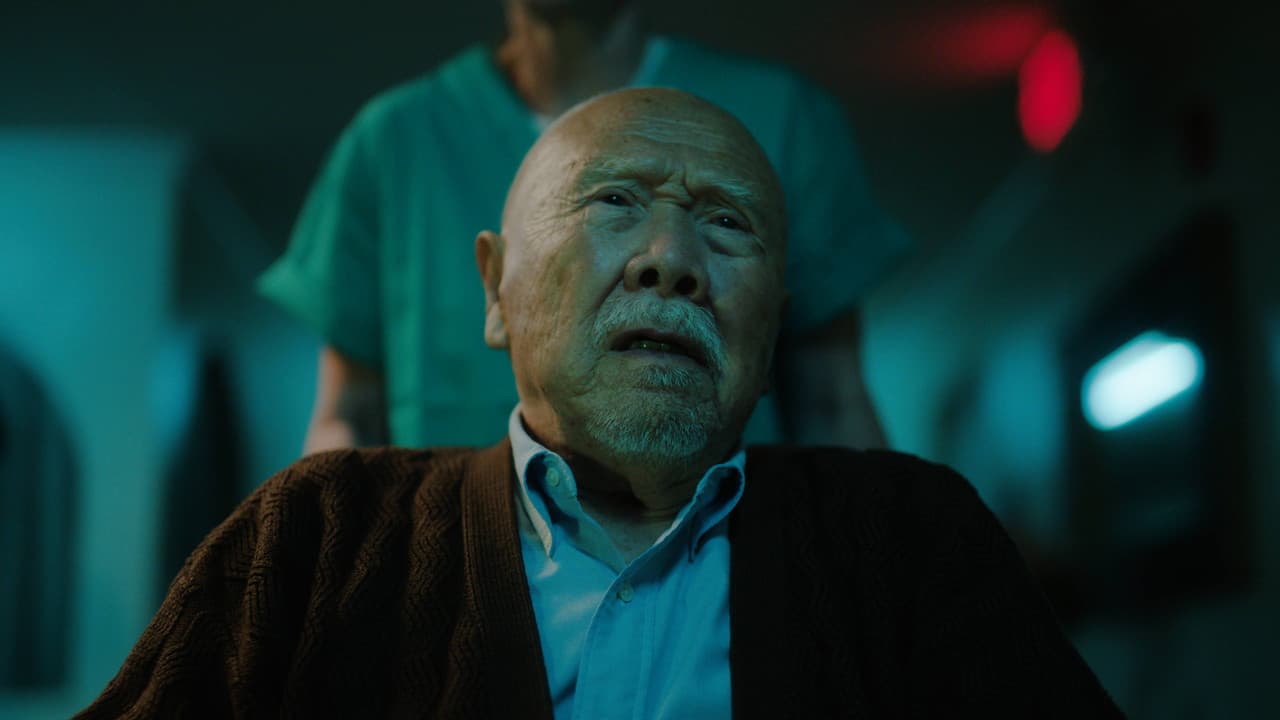 Backdrop – Sundowning