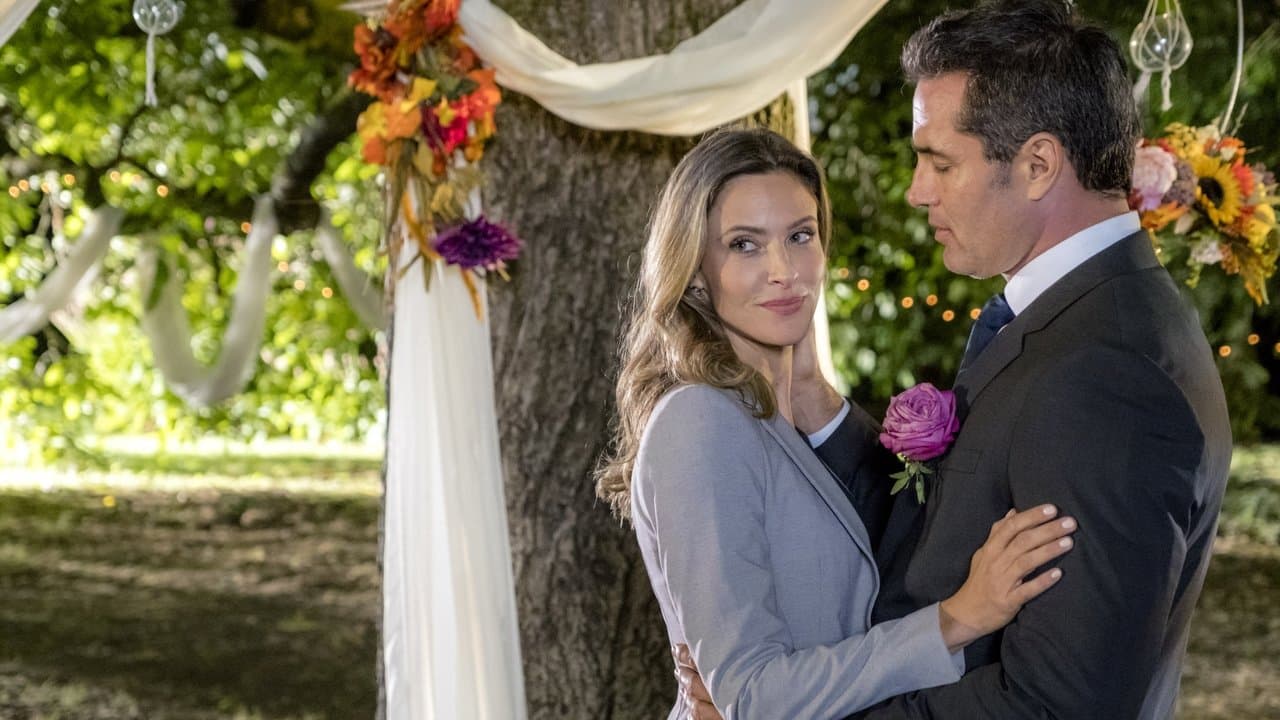 Backdrop – Die Hochzeit des Jahres