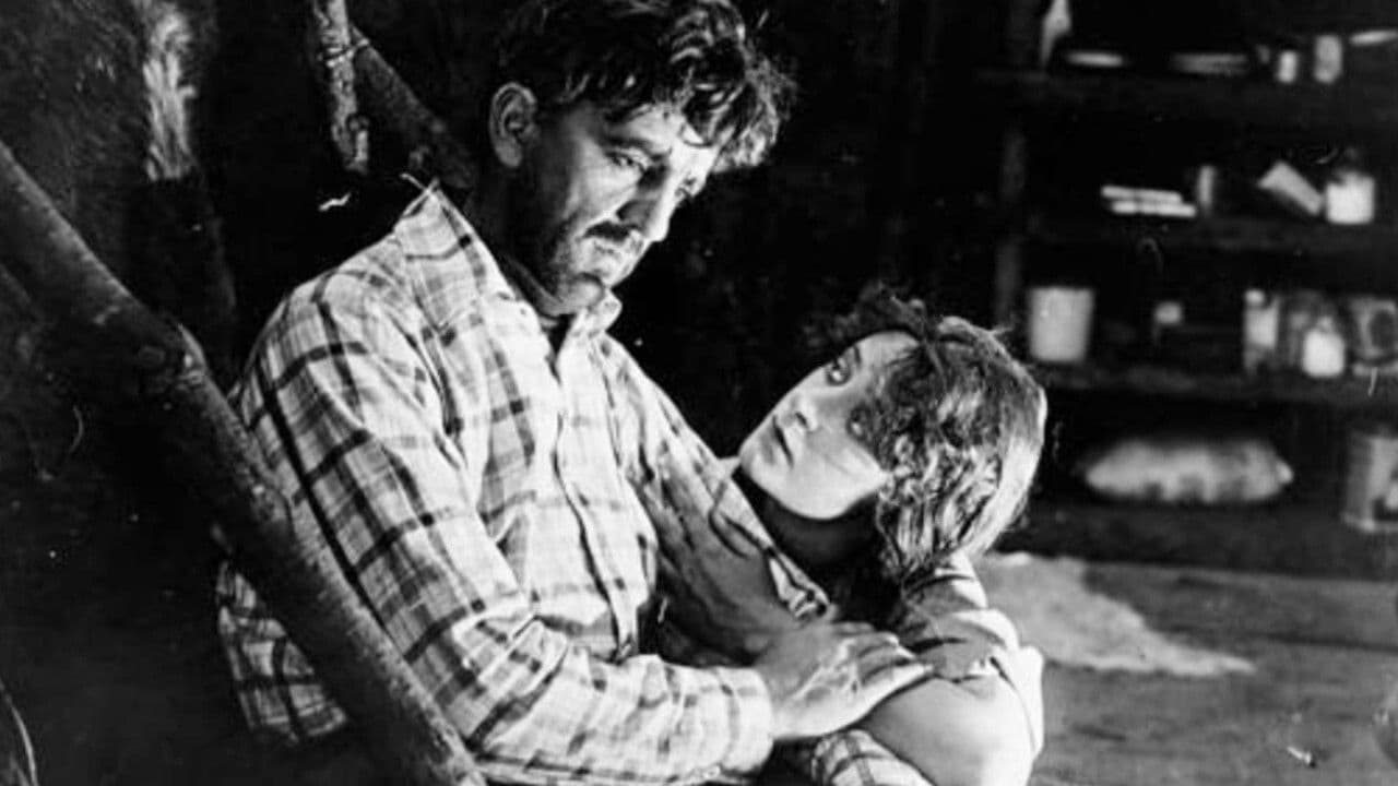 Backdrop – Baree, Son of Kazan