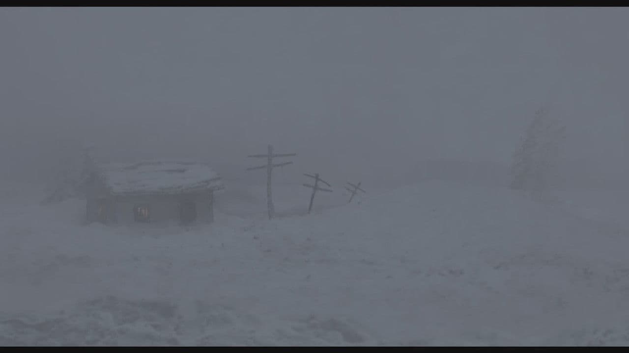 Backdrop – Café Limbo