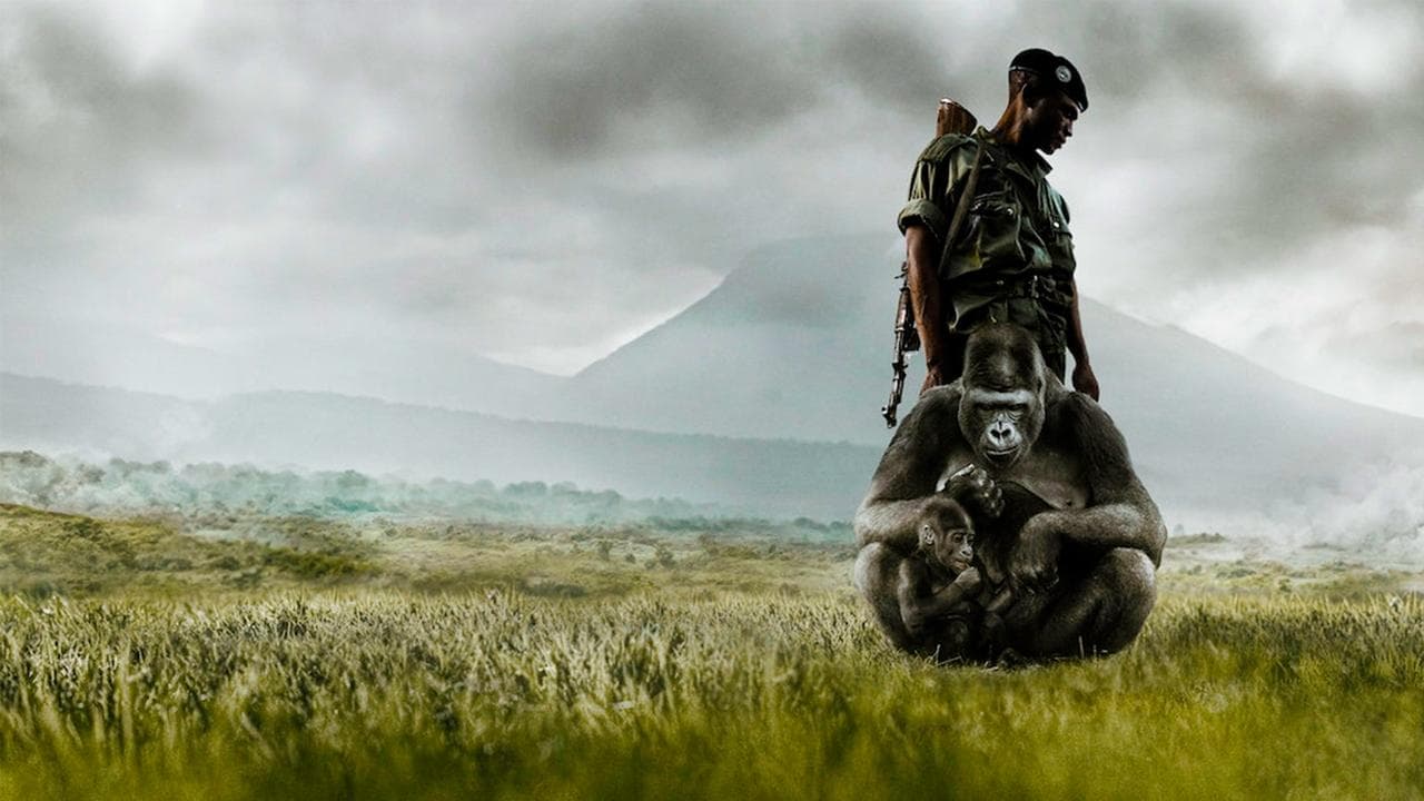 Backdrop – Virunga