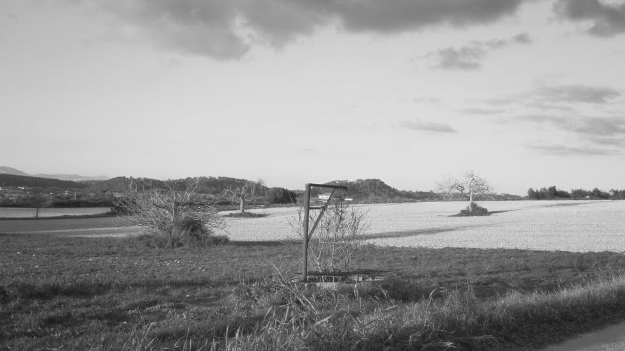 Backdrop – Estimada Sa Bastida