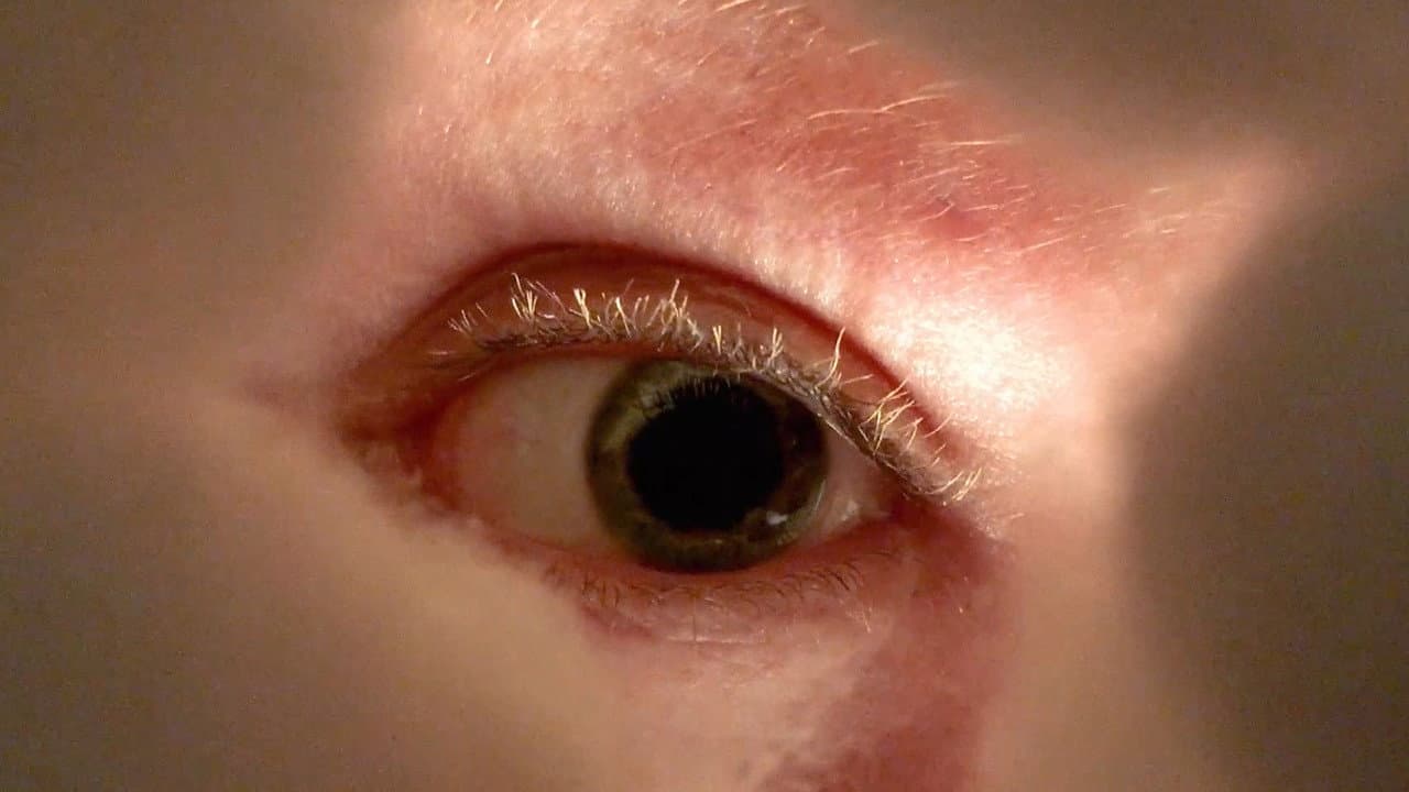 Backdrop – Downturned Umbrellas