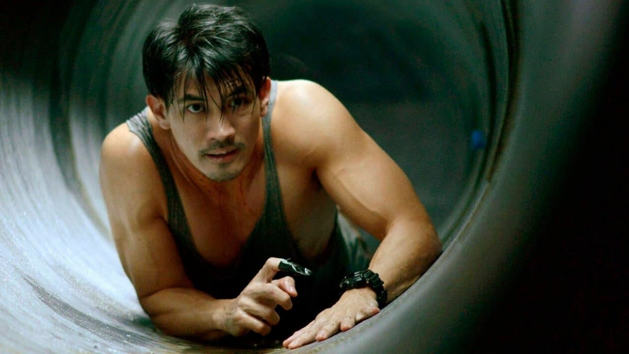 Backdrop – The Pool