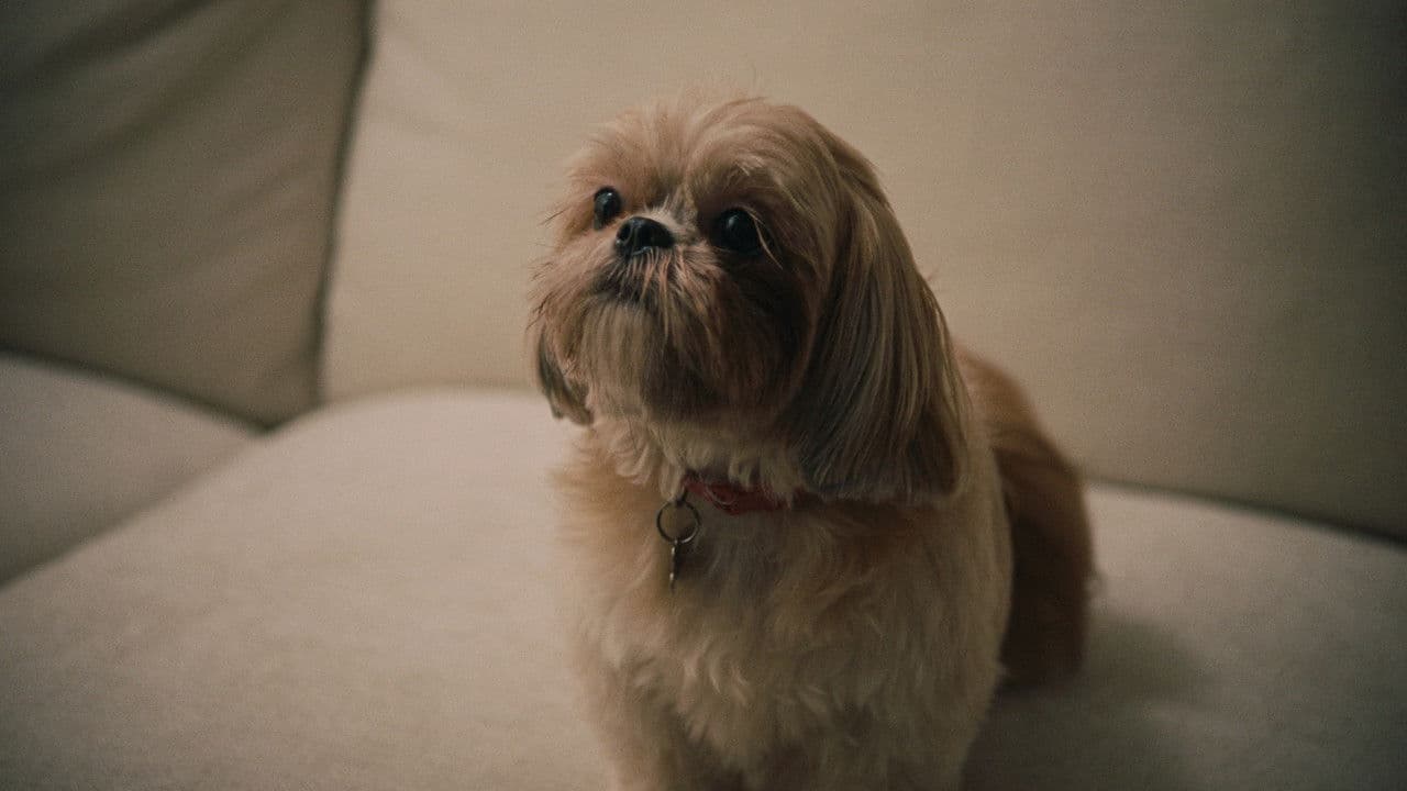 Backdrop – The Actor