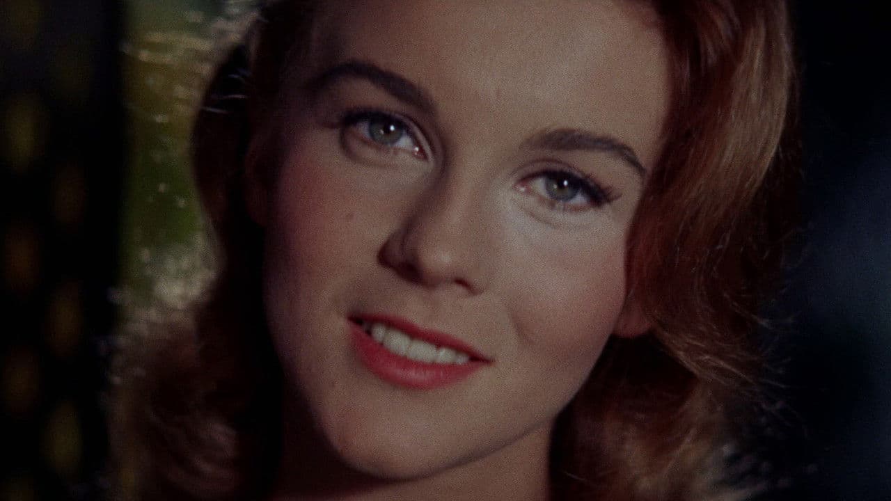 Backdrop – Bye Bye Birdie