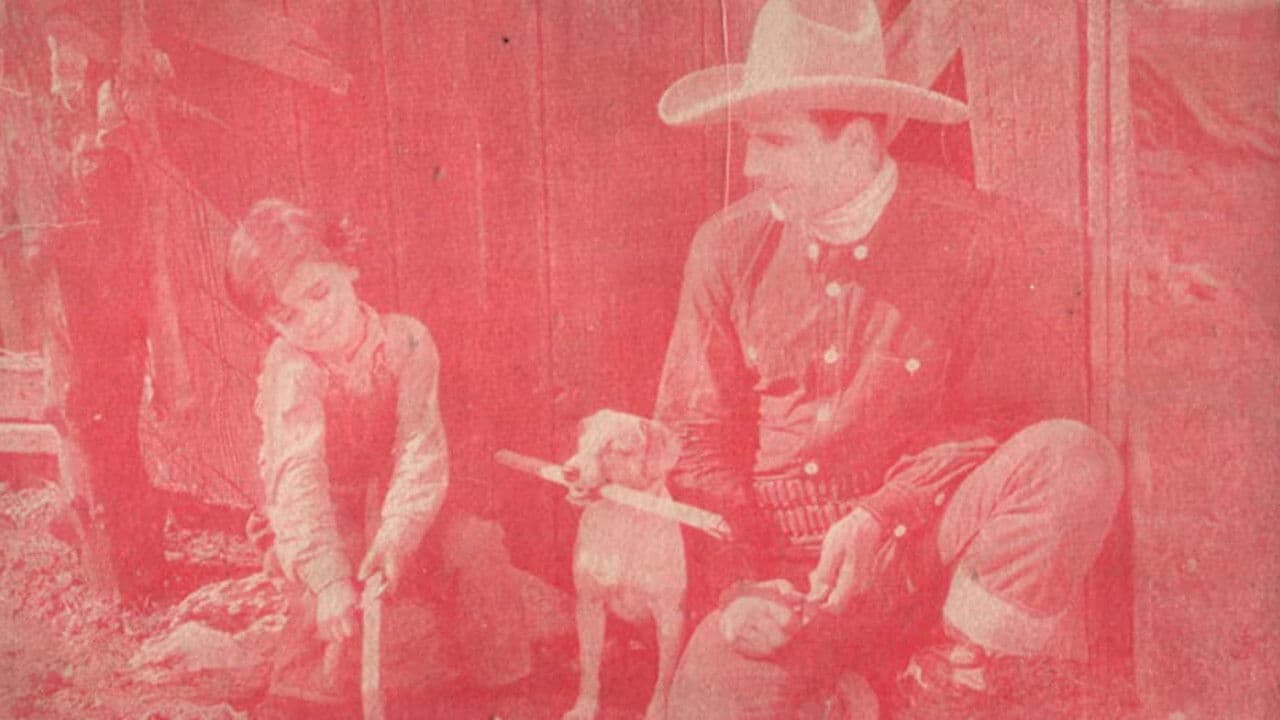 Backdrop – The Wyoming Wildcat