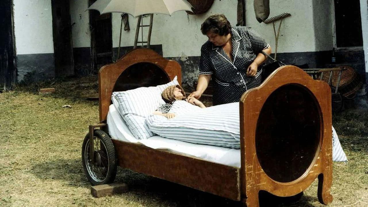 Backdrop – Slunce, seno, jahody