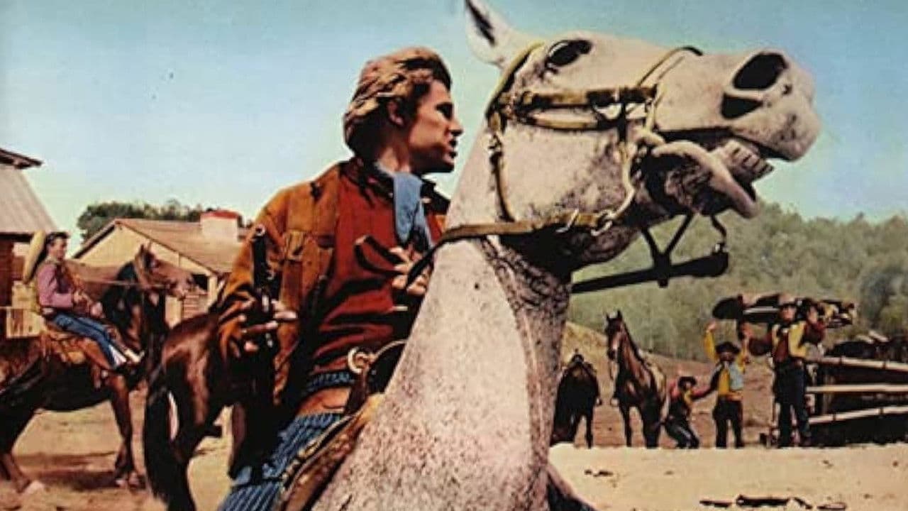 Backdrop – Djurado