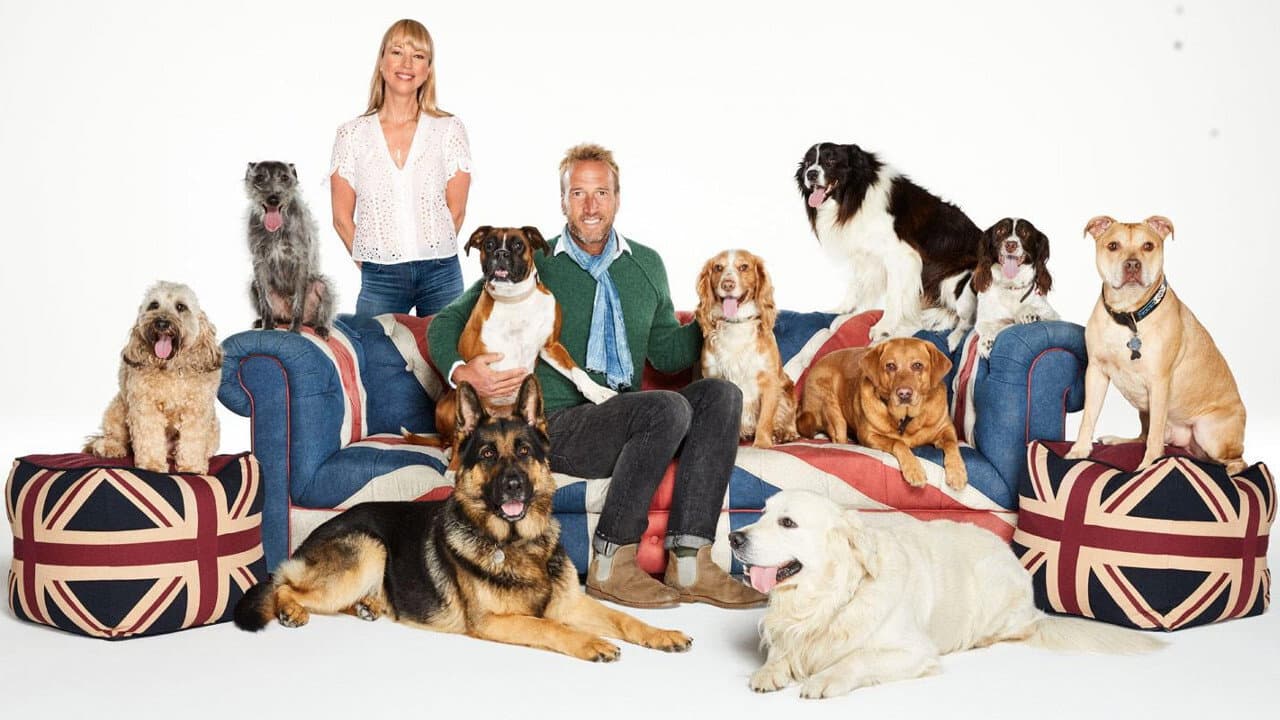 Backdrop – Britain's Favourite Dogs: Top 100