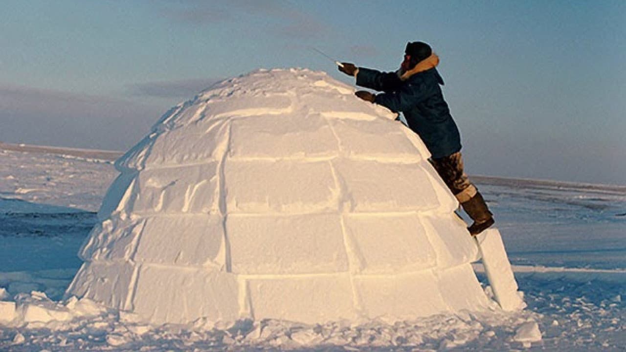 Backdrop – How to Build an Igloo