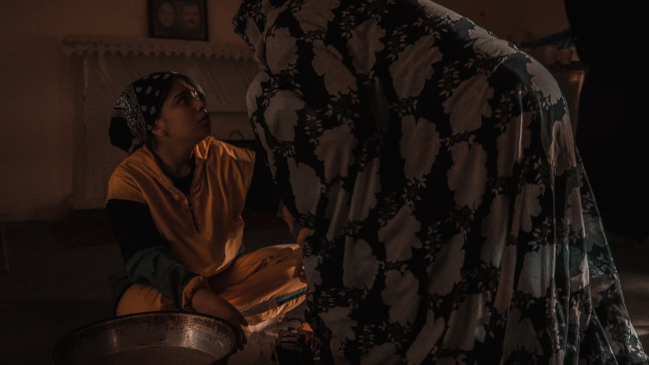 Backdrop – عروس عروسک به دست