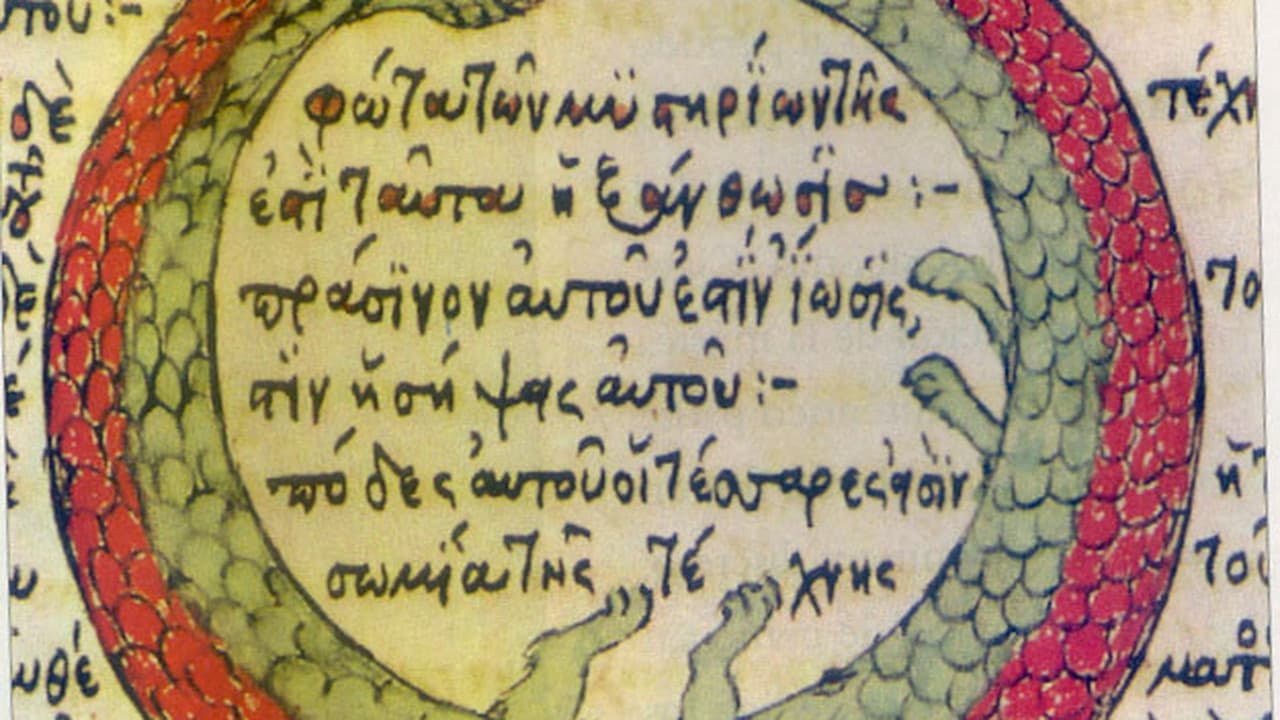 Backdrop – REINCARNATION