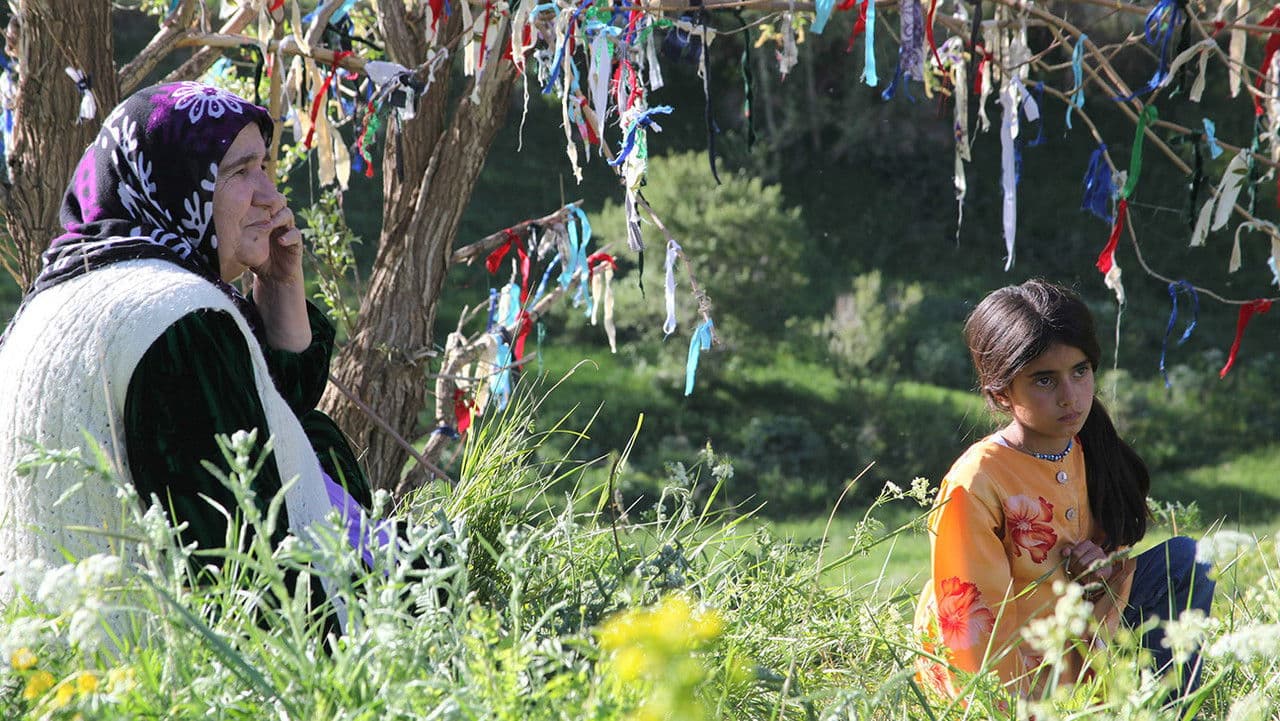 Backdrop – Folge meiner Stimme