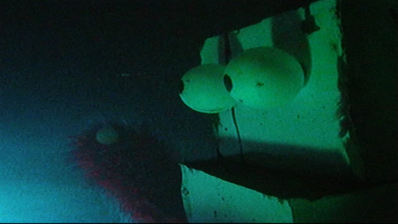 Backdrop – Public Access Limited