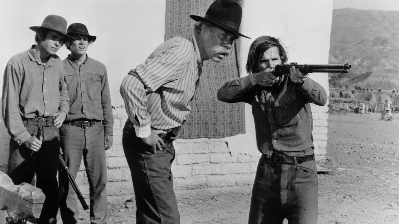 Backdrop – Vier Vögel am Galgen