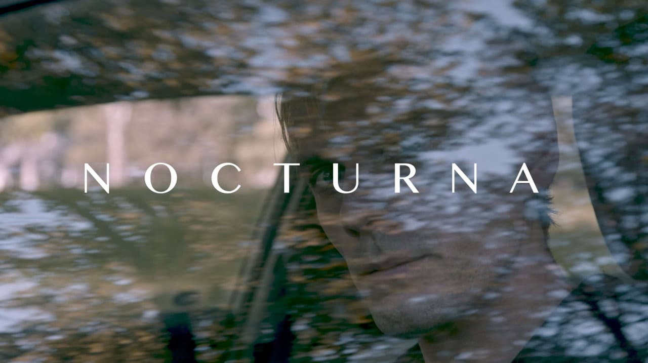 Backdrop – Nocturna