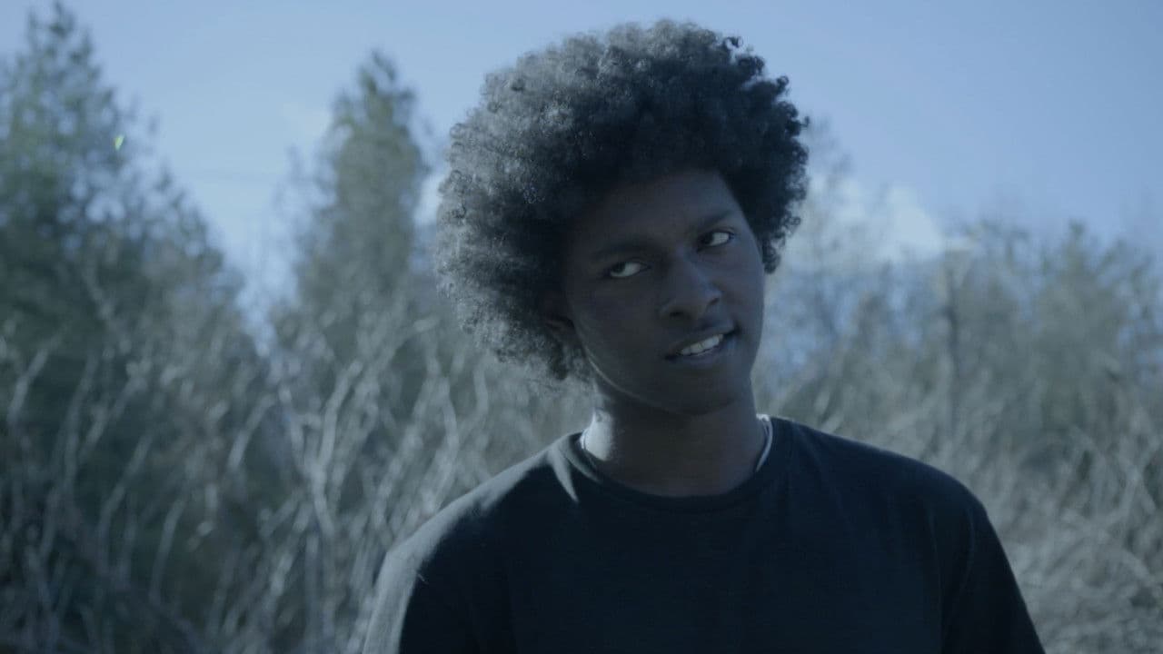 Backdrop – Vestiges