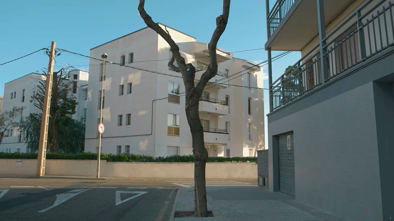 Backdrop – Con Vistas al Mar