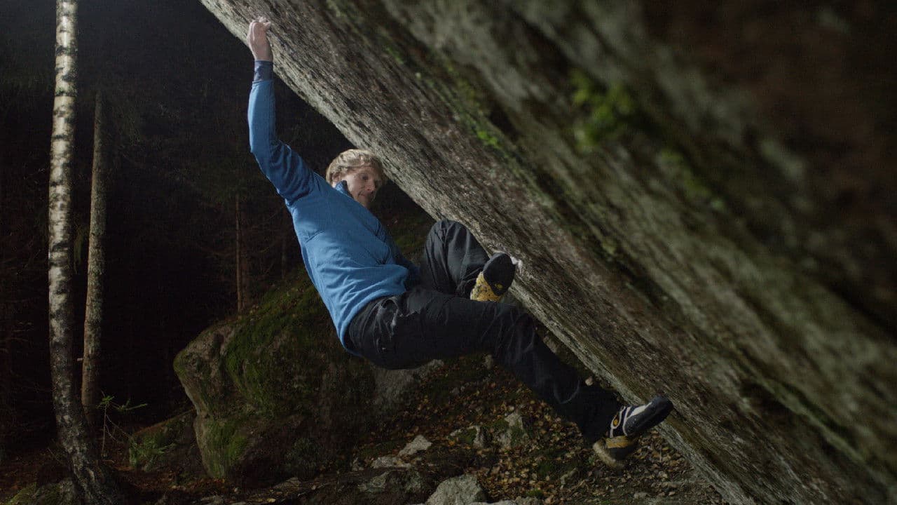 Backdrop – The Lappnor Project