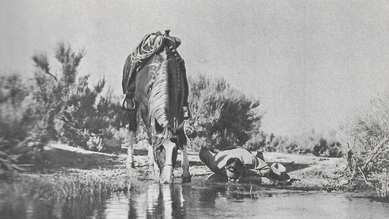 Backdrop – Texans Never Cry