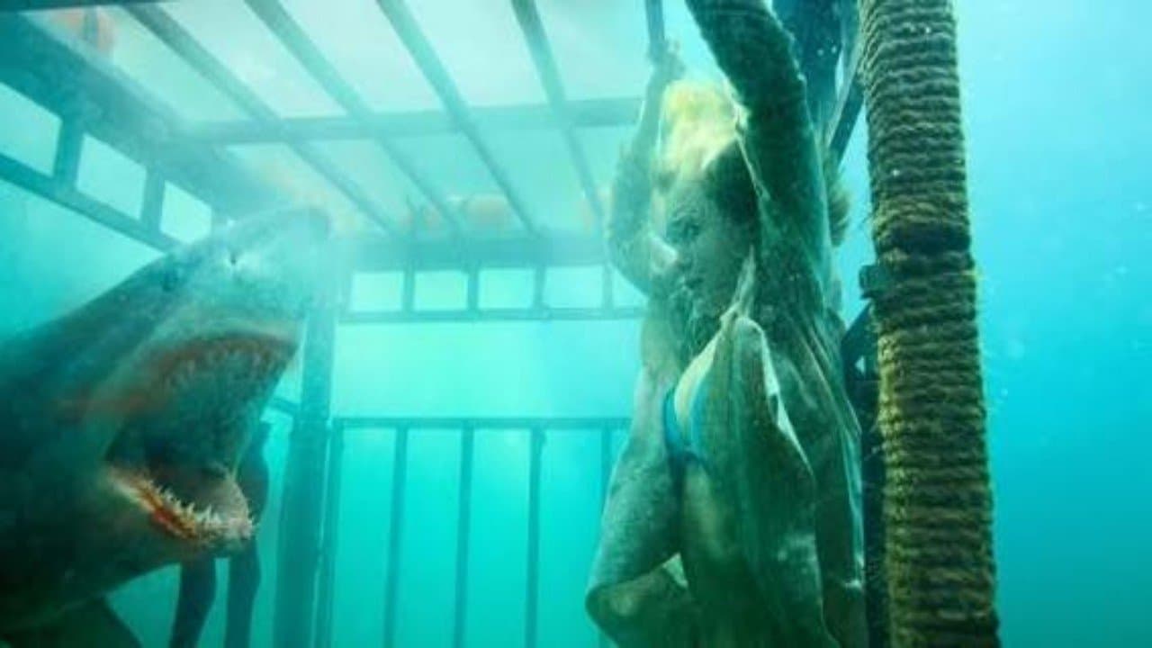 Backdrop – Raging Sharks - Killer aus der Tiefe