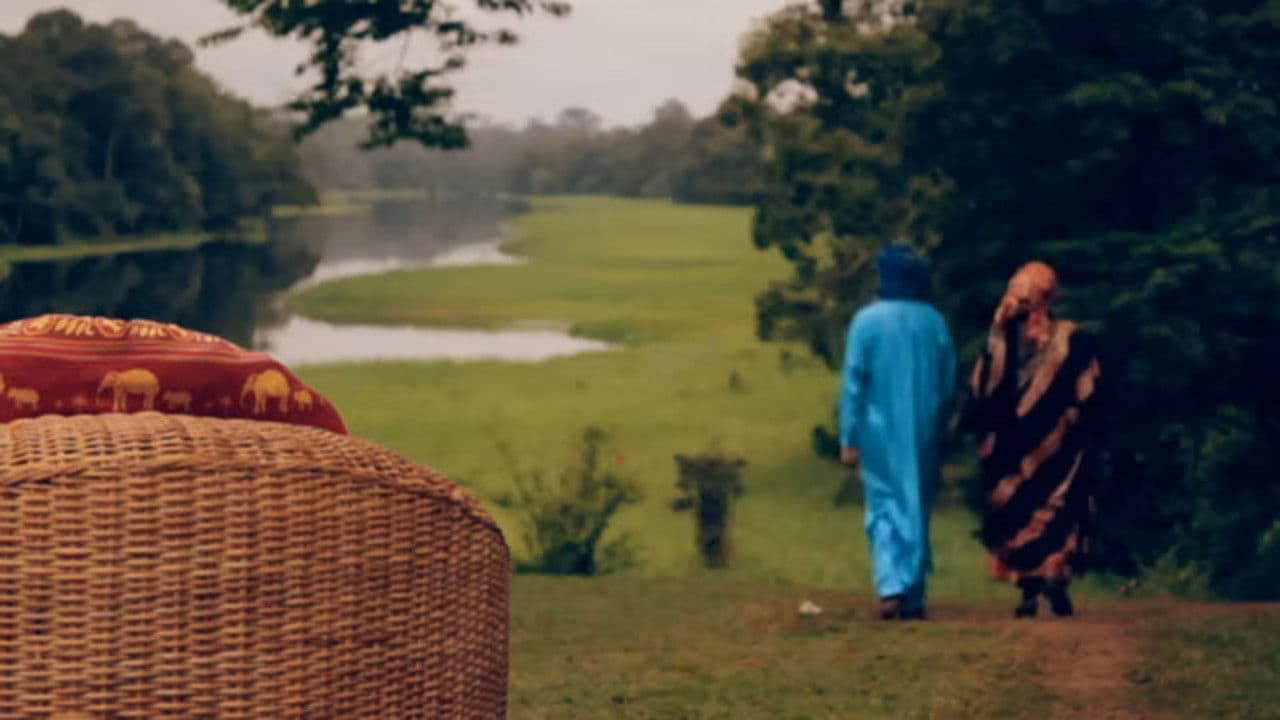 Backdrop – Le président