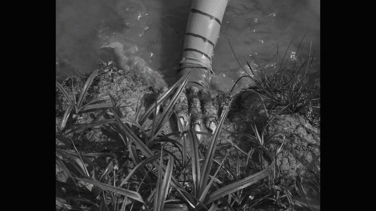 Backdrop – FROGGER, LA CREATURE DU LAC