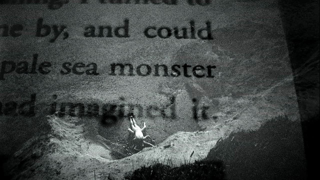 Backdrop – Patience (After Sebald)