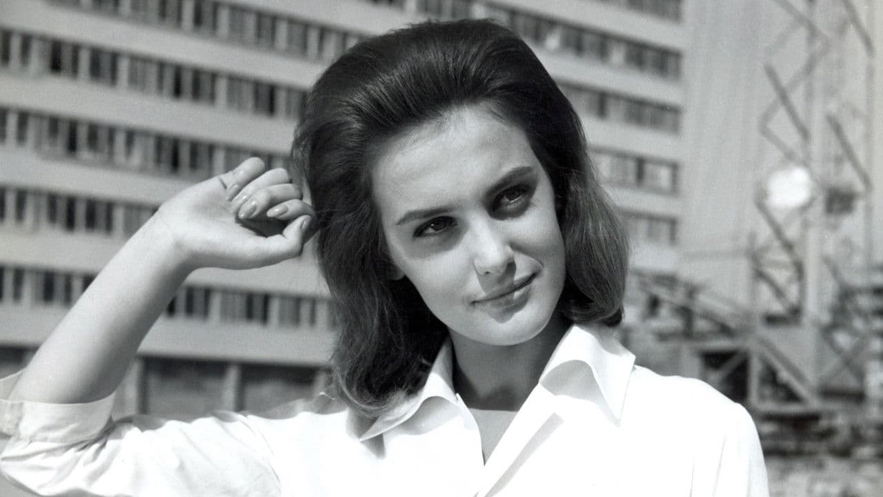 Backdrop – Studentenliebe