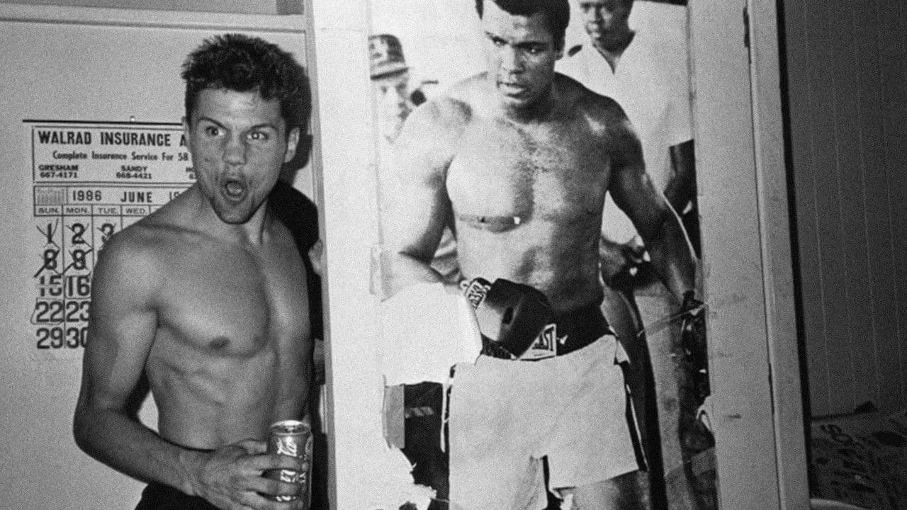 Backdrop – Broken Noses