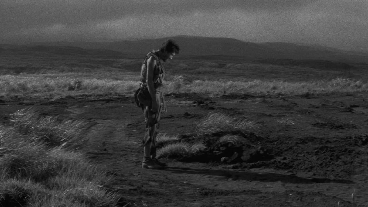 Backdrop – Nobi - Rauchsäulen