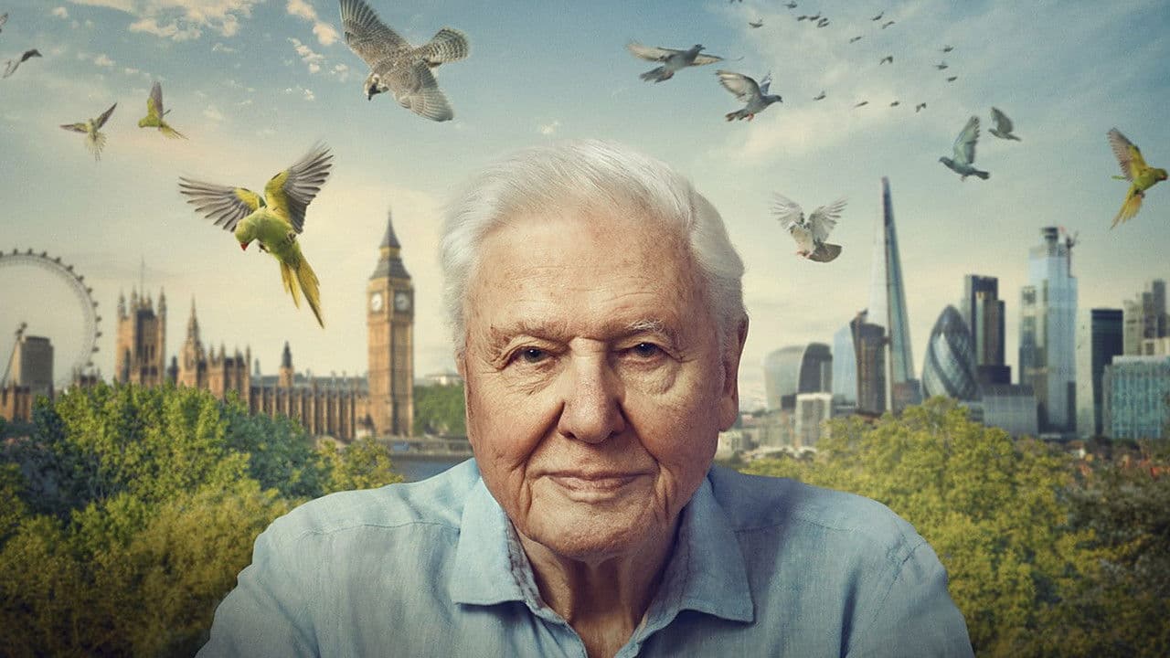 Backdrop – Wild London