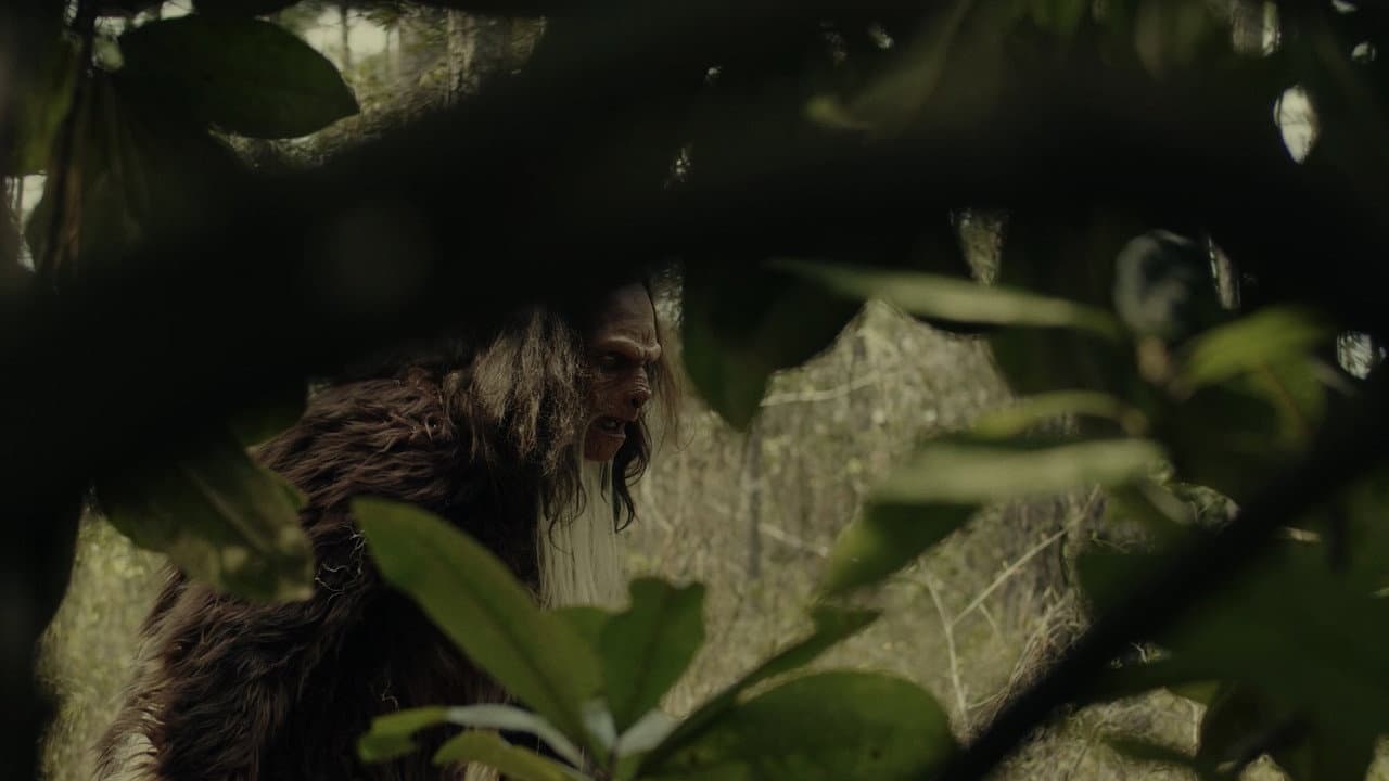 Backdrop – Sighting