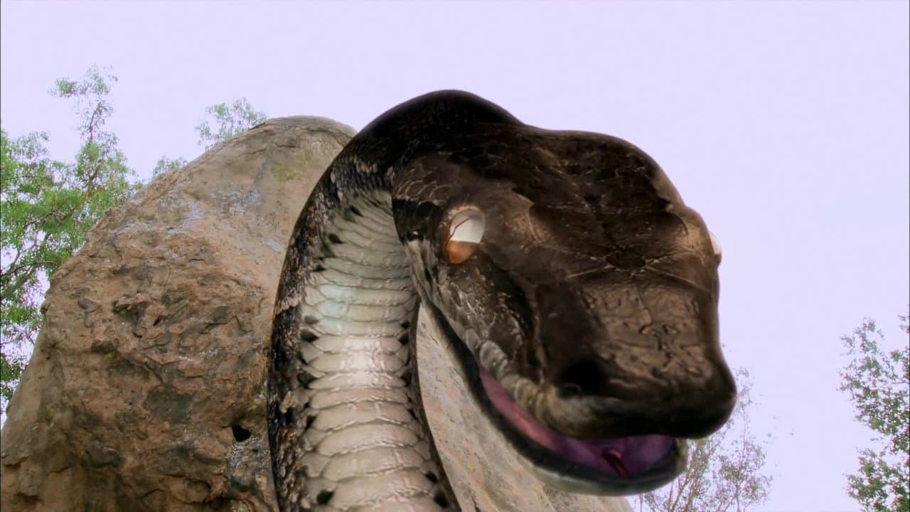 Backdrop – Megaconda