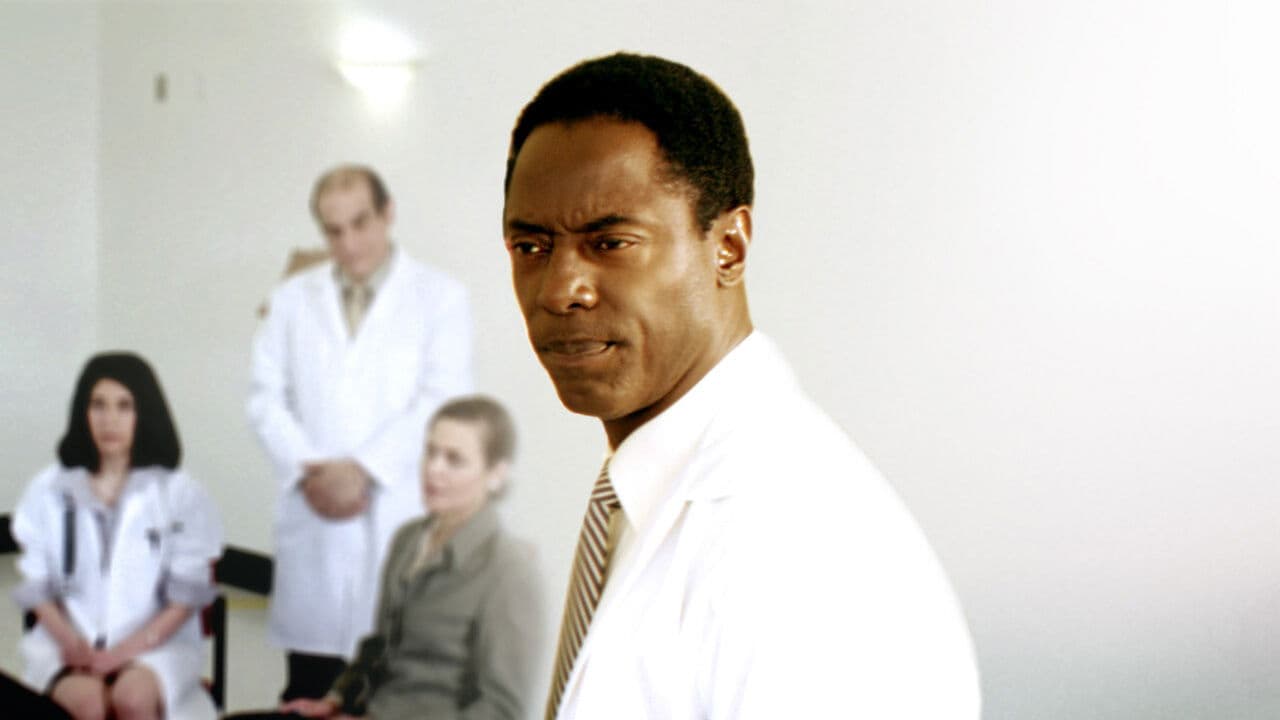 Backdrop – Doctor Bello