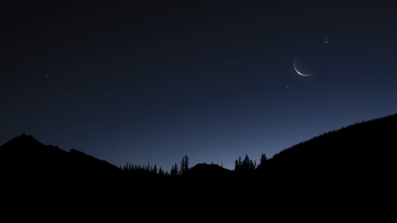 Backdrop – LUX