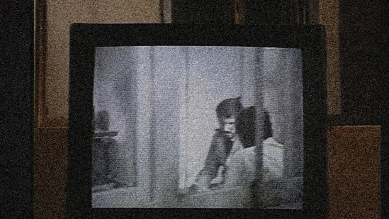 Backdrop – کلوزآپ نمای دور