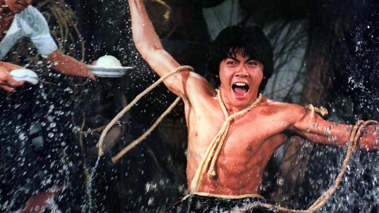 Backdrop – Kung Fu Zombie