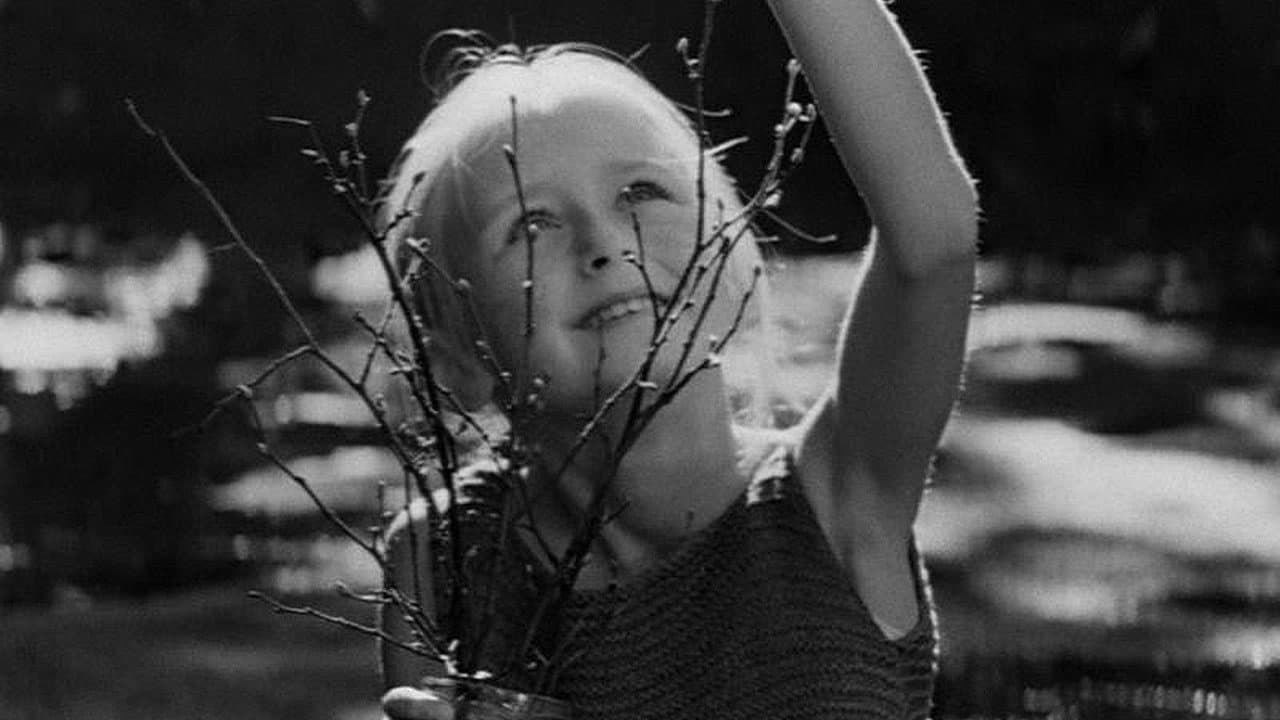Backdrop – Gražuolė