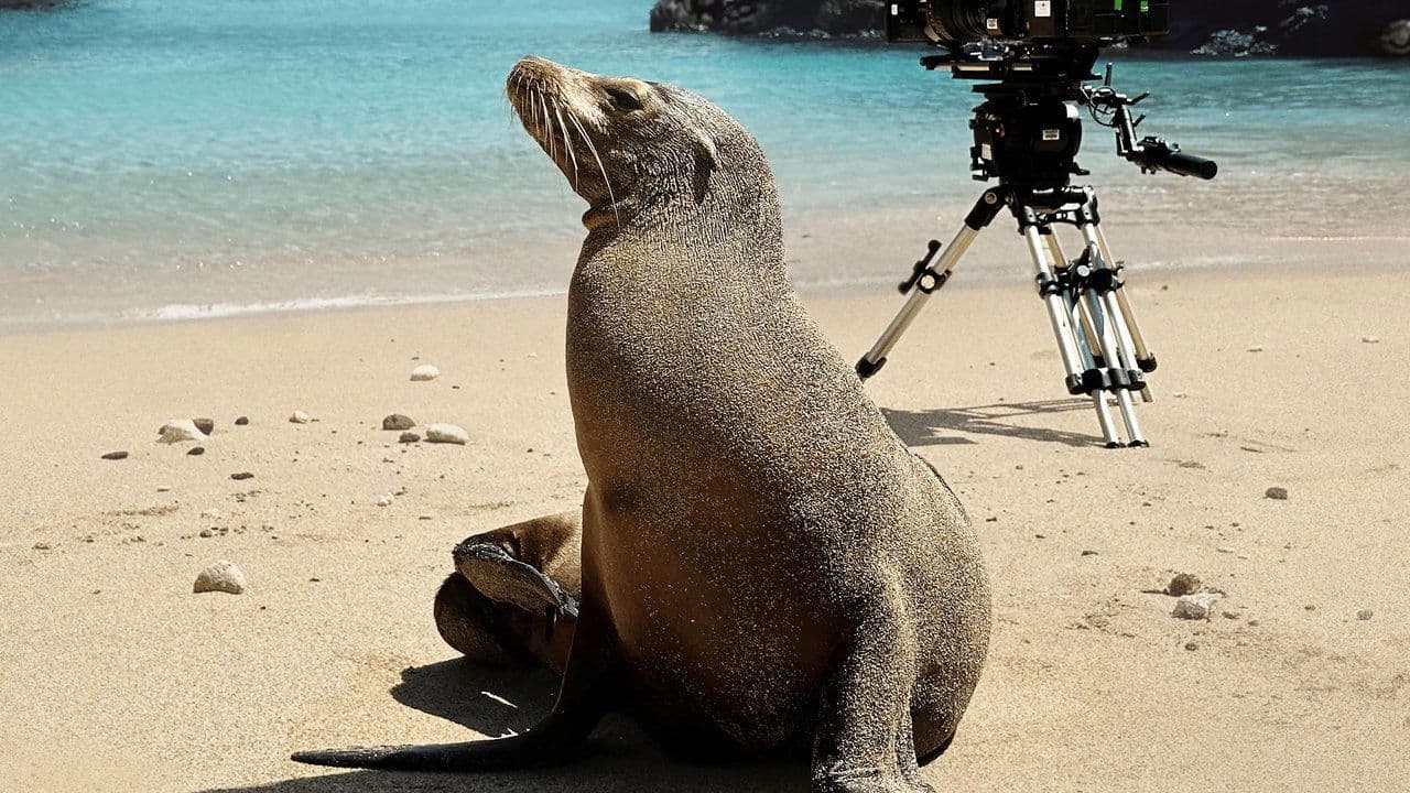 Backdrop – Guardians of the Galapagos