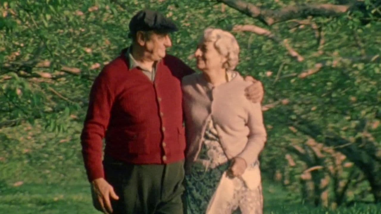 Backdrop – Les dernières fiançailles